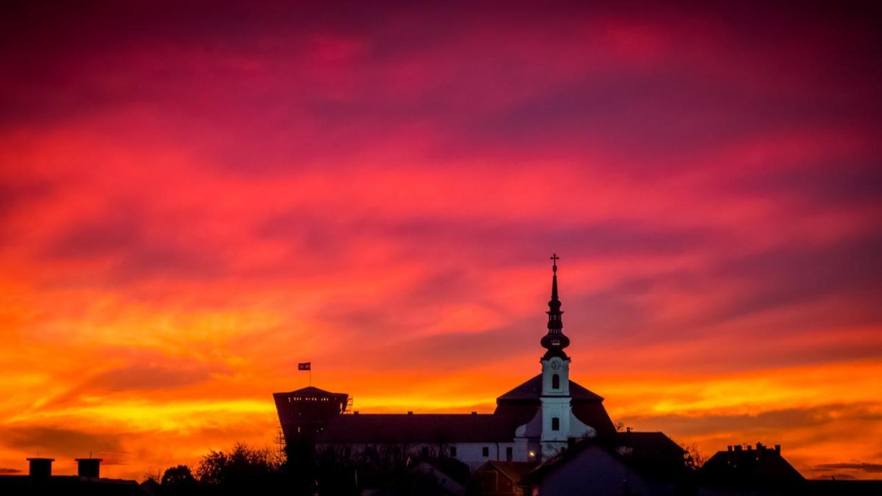 Vila Rosa Vukovar Bed & Breakfast ภายนอก รูปภาพ